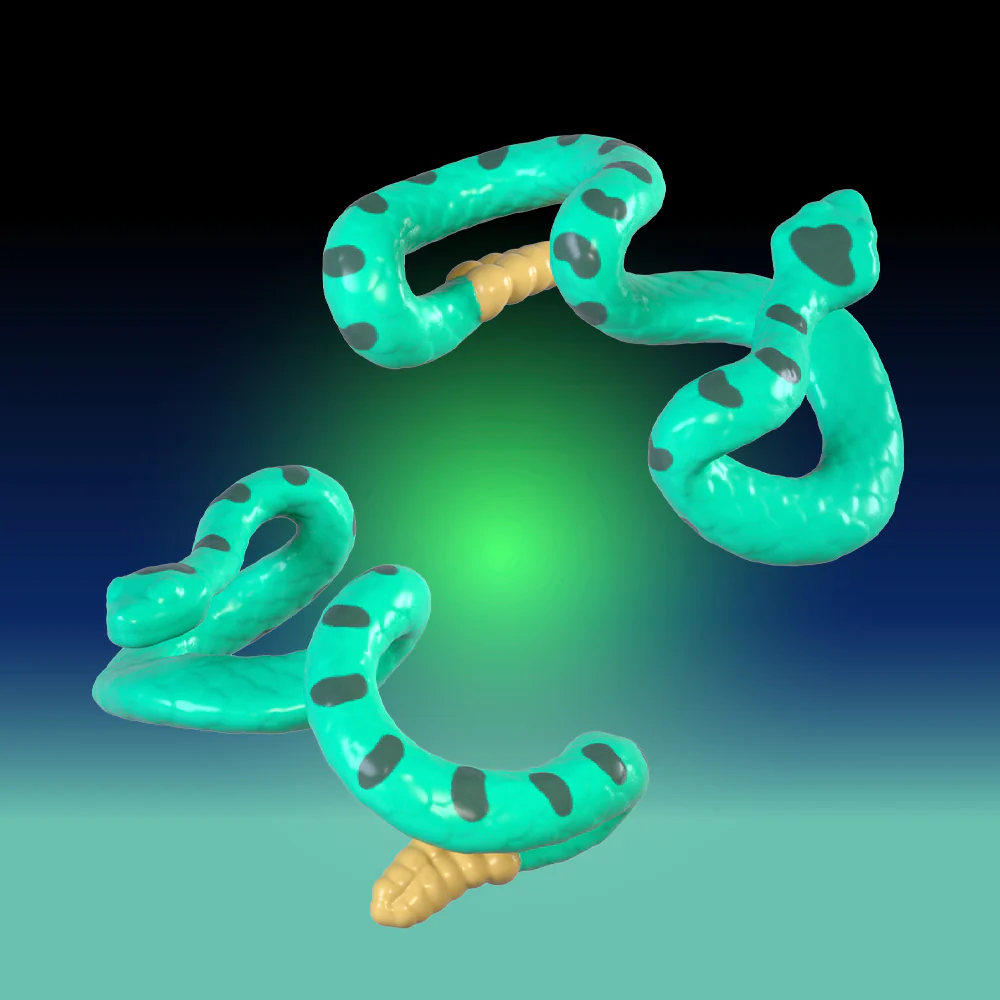 ROVER ROBIN Overtakes Skull Rider - Image 7